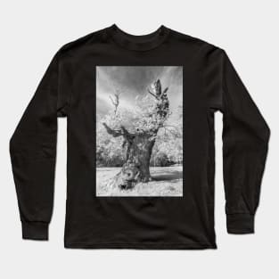 Mono Sandringham #1 Long Sleeve T-Shirt